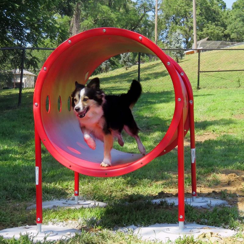 Perro jugando en un tunel en un parque para perros | Just4Play Perú